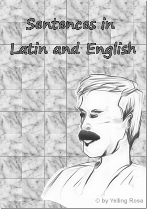 Sentences in Latin and English by © Yelling Rosa 002