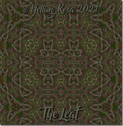 03eg The Leaf 050721 SG © Yelling Rosa