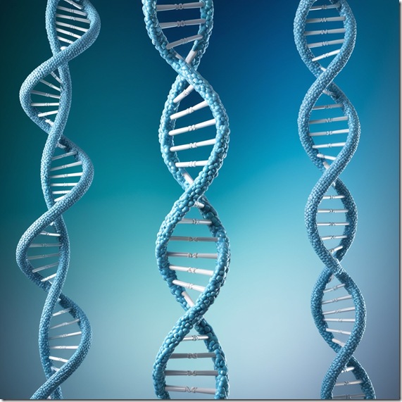 Leonardo_Phoenix_09_Delicate_intertwined_human_DNA_double_heli_3