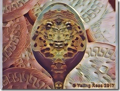 thespoonfacebyyellingrosa2017 02